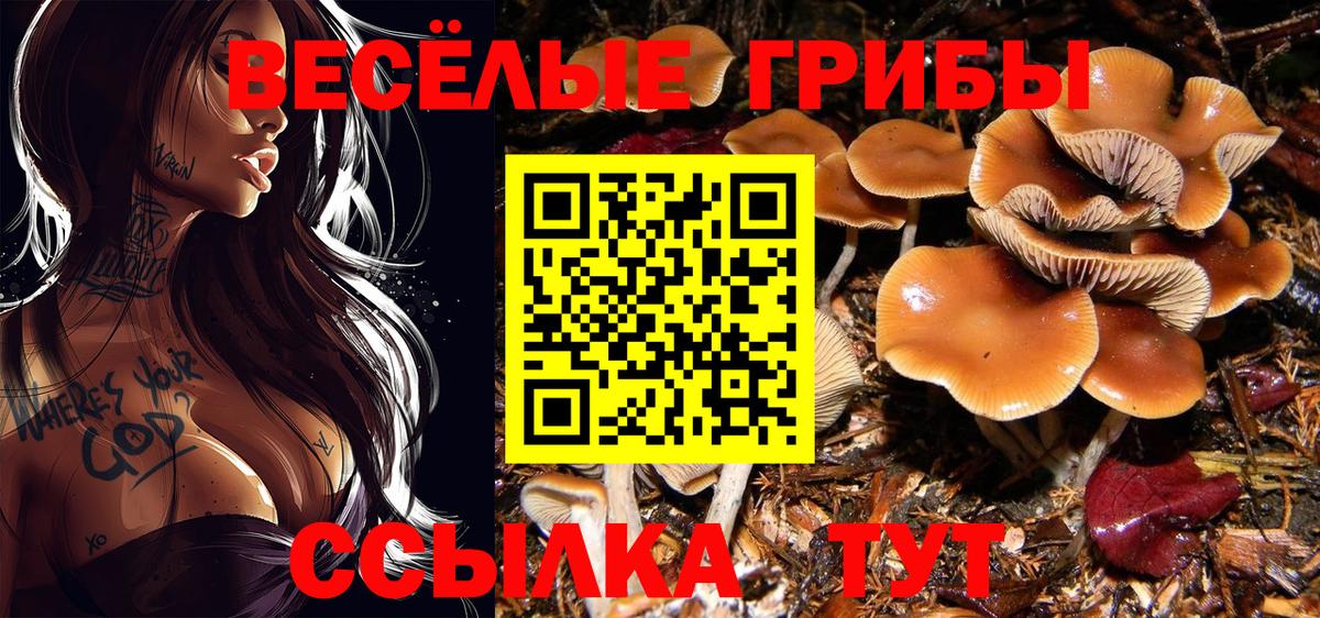 Псилоцибиновые грибы мицелий Клин