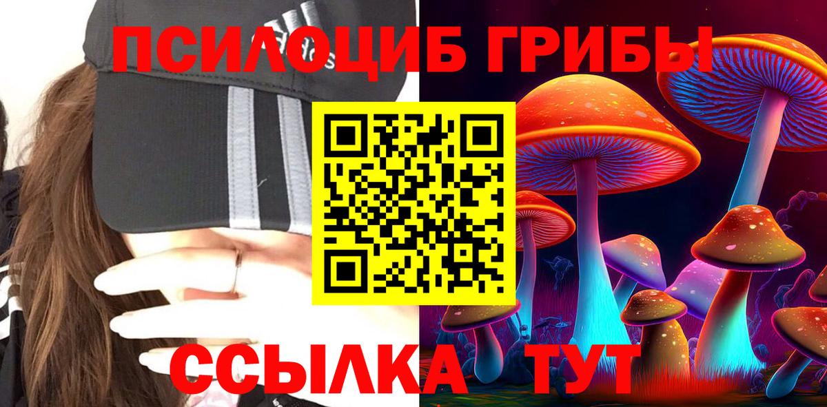 Клин  Псилоцибиновые грибы ЛСД  Псилоцибиновые грибы ЛСД  Вход с VPN 