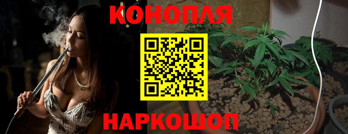 Бошки марихуана план  Вход с VPN  Канабис сатива  Клин 